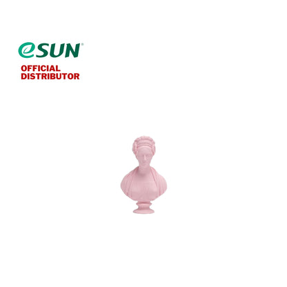 eSUN PLA Matte 3D Printer Filament