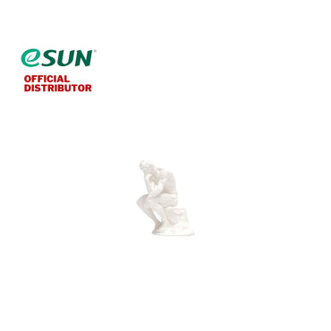 eSUN PLA Matte 3D Printer Filament